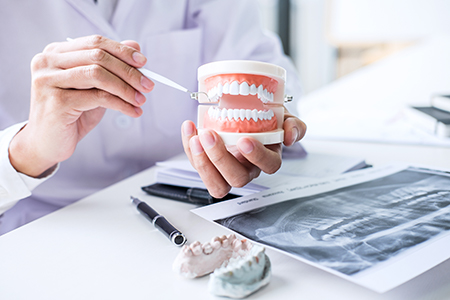 The image shows a person holding a tooth model while sitting at a desk with dental tools and images, likely in a dental office setting.